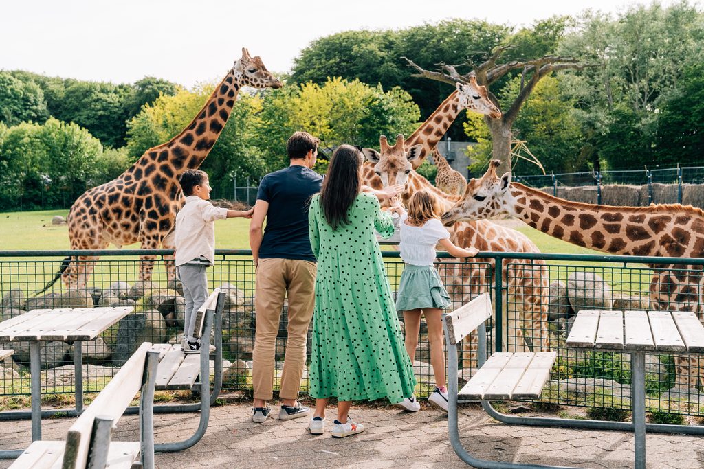 Aalborg Zoo